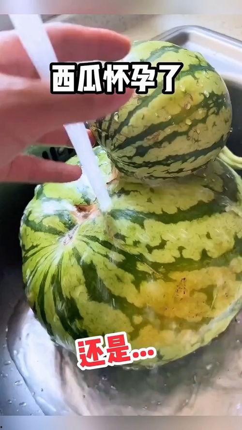 吃瓜视频精彩集锦,精彩集锦盘点