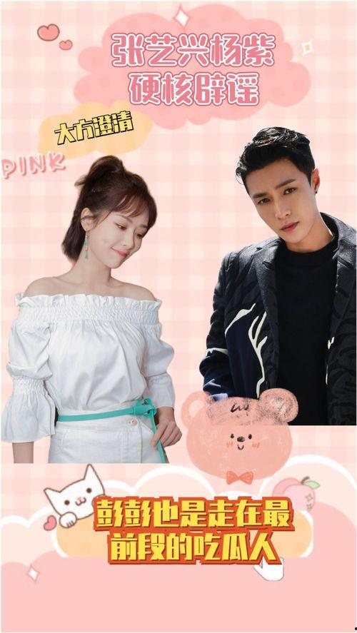 小绵羊吃瓜的视频,趣味横生一幕再现