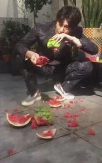 魏县小红吃瓜事件视频,一场网络热议的瓜田奇谈