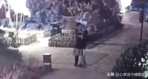 张北吃瓜事件真相视频全集,揭秘真相背后的惊人内幕