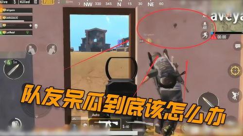 呆瓜吃鸡队友配乐视频,欢乐逗趣，重温经典游戏时刻