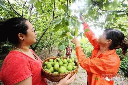 辉县吃瓜视频,揭秘当地特色美食背后的故事